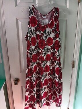 LuLaRoe Dropwaist Rose Dress Size XL